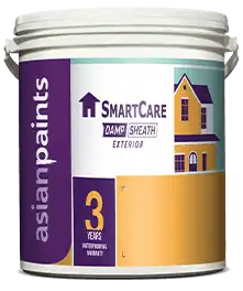 Asian Paint - Smartcare Damp Sheath Exterior