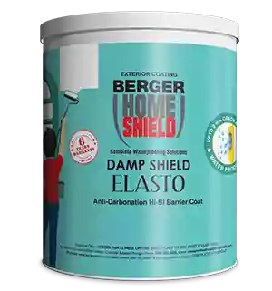 Berger Paint - Dampshield Elasto