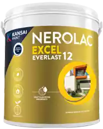 Nerolac Paint - Excel Everlast 12